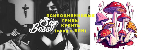 индика Верхнеуральск