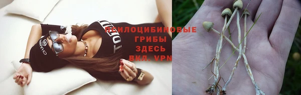амф Володарск