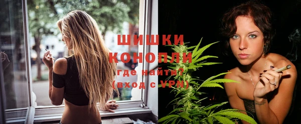 PSILOCYBIN Верея