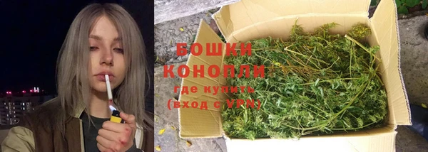 МДПВ Верхний Тагил