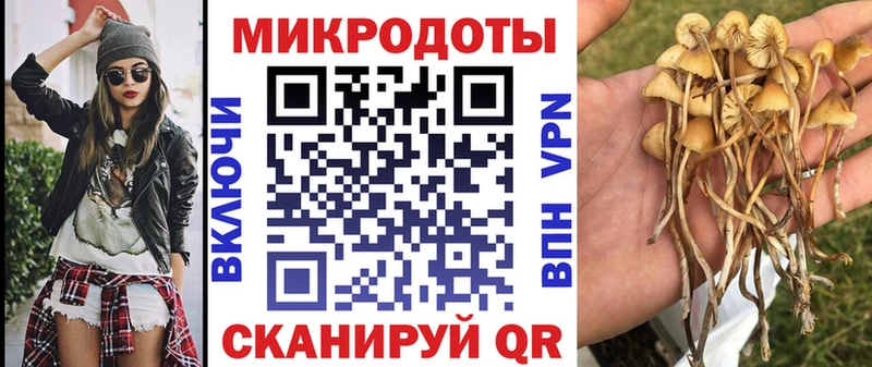МЕГА ссылка  Северобайкальск  Псилоцибиновые грибы Magic Shrooms 