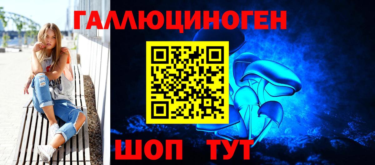 Северобайкальск  Псилоцибиновые грибы GOLDEN TEACHER  Вход с VPN 